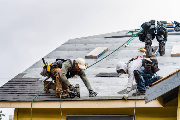 Professional Emergency Roof Repair technician working in Roundup, MT
